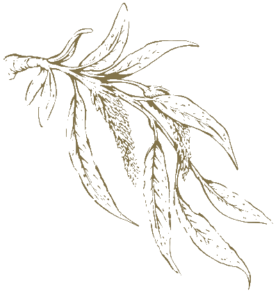 Godrej Emerald Waters